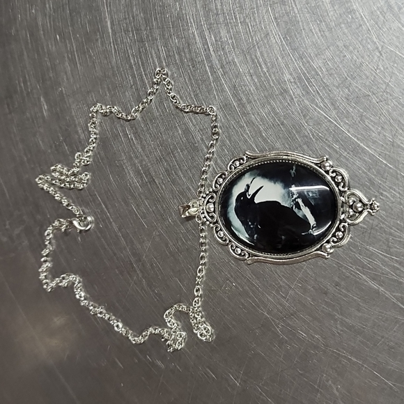 crow Jewelry - Edgar Allen poe black crow victorian vibes necklace